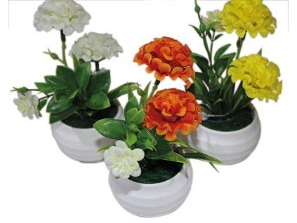 83FBB5A3 8BFD 4001 BBD7 1E99C9DFB7B3