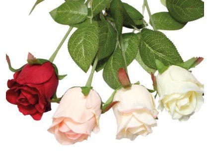 D87C8D7A C18D 4833 9E13 91CB8D38C110