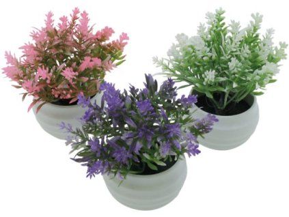 CA130A45 36D3 4F89 9443 CFFE58936348