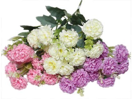 C9D3FC1F 3BA5 4802 97D2 96FEE276E04A