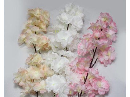 5D2CD635 7D9F 4C10 A3B1 CC737E822DBC