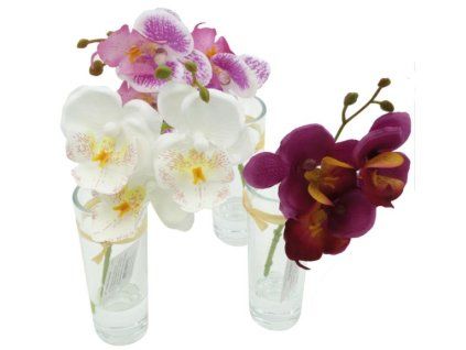 A6A6C465 DBB4 46BD B77C EB1B01A0EA58