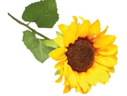 EA4A22A1 CB4D 4E7D 9200 8B9CD654CE40