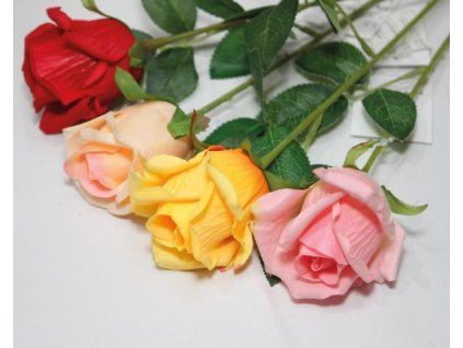 03E4BAB5 1F6B 4273 8173 6C347183D22E