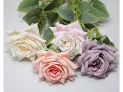 4153B1EC BD2C 43D6 A69B 088AC9AB1BE2