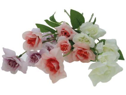 D70140E0 5485 4035 802E CFD812C77E89