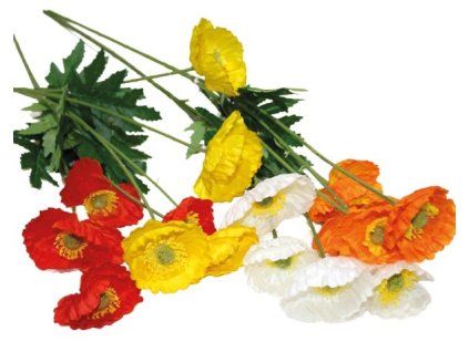 82072466 8FBA 408F 9722 321B0F60AC68