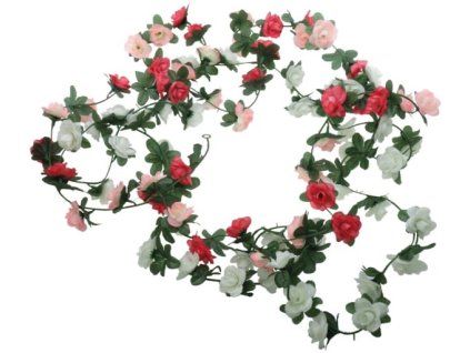 AC76B8AB DA3D 46E2 A9D4 39CE601C5B51