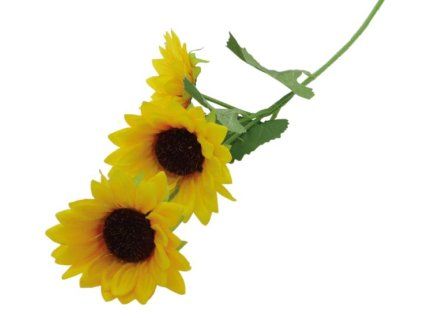 2BDF712C 49B8 4C5D B8F6 D2AF9619CCB0