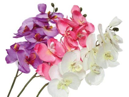 EB8D2D78 8678 476A 9030 7838B537A9ED