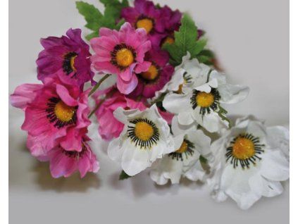 BCAC90CC 4B67 4B9F BD00 83679BB42F7A