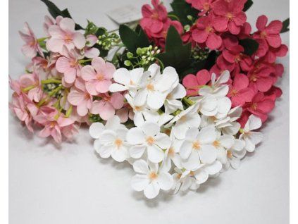 A6A2ED85 55C8 4BD4 B39A E25FE6496638