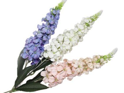 3863DD52 0C88 43ED BFB3 9E1BF25777D5