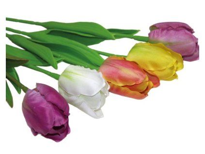 B028122A 718D 438F 9117 98167856B93B