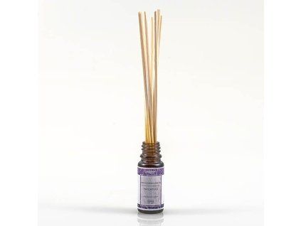 9ED67CE9 B293 4675 8E2B 7B33B6C23165