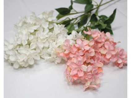 4419B135 47CB 478C A7ED 27DB8782CB27