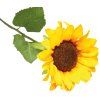 EA4A22A1 CB4D 4E7D 9200 8B9CD654CE40