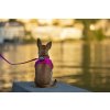 CURLI Vodítko pro psy Basic Fuchsia L 140x2 cm