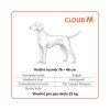5 cloud m web