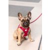 CURLI Postroj pro psy Air-Mesh Red XS, 3-5 kg
