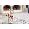 CURLI Vodítko pro psy Basic Red L 140x2 cm