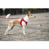 CURLI Vodítko pro psy Basic Red L 140x2 cm