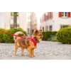 CURLI Vodítko pro psy Basic Red L 140x2 cm