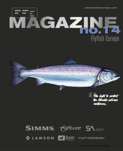 FFE Magazine 2025 no. 14
