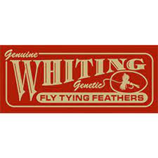 Whiting