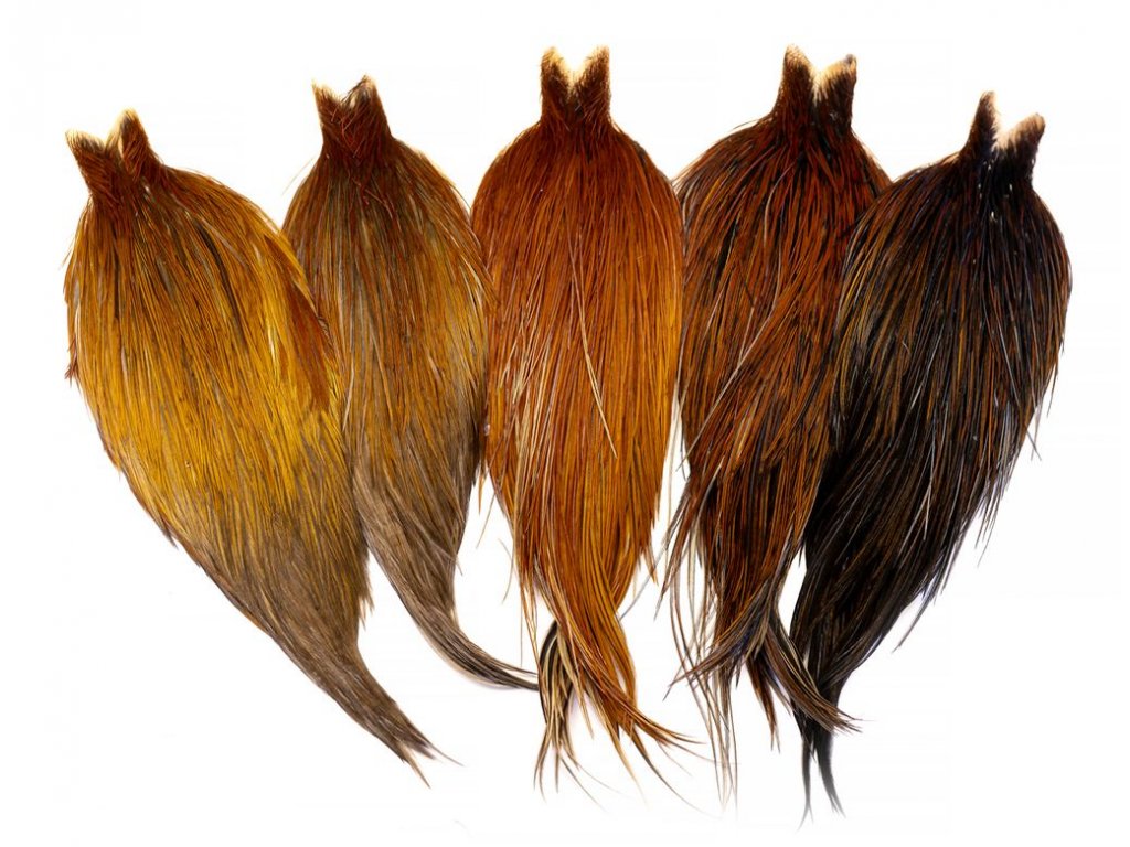 whiting heritage hackle cape brown variant