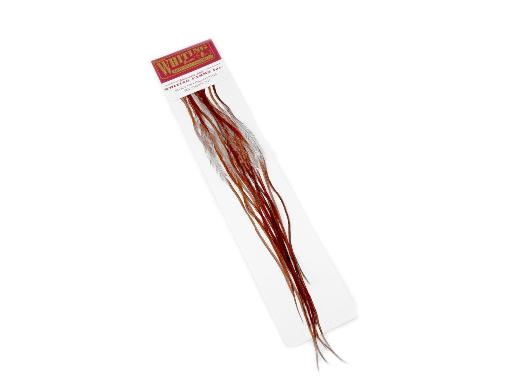 Whiting 100 Pk Size 20 Brown (Color Brown)