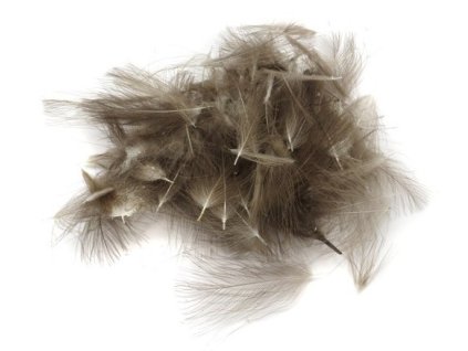 quill and fly wild duck cdc