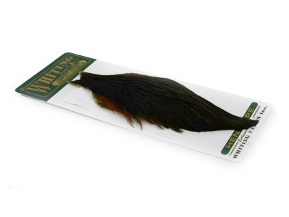 Whiting Hebert Hen Cape Black