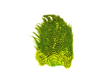 Whiting 4B's Rooster Saddle Grizzly Dyed Fluo Green Chatreuse