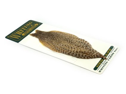 whiting hebert miner wet fly hen cape dun grizzly