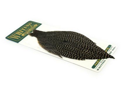 whiting hebert hen cape grizzly