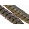 Wapsi Ringneck Pheasant Tail 1 Pair