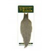 whiting hebert hen cape medium gray dun 2