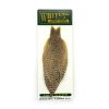 whiting hebert miner wet fly hen cape dun grizzly vertical