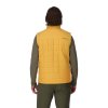 Simms Fall Run Vest Amber