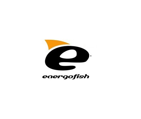 481c82f94af4156fa0235eca3999e7ff-energoteamlogo