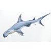 Žralok kladivoun - 120 cm polštář