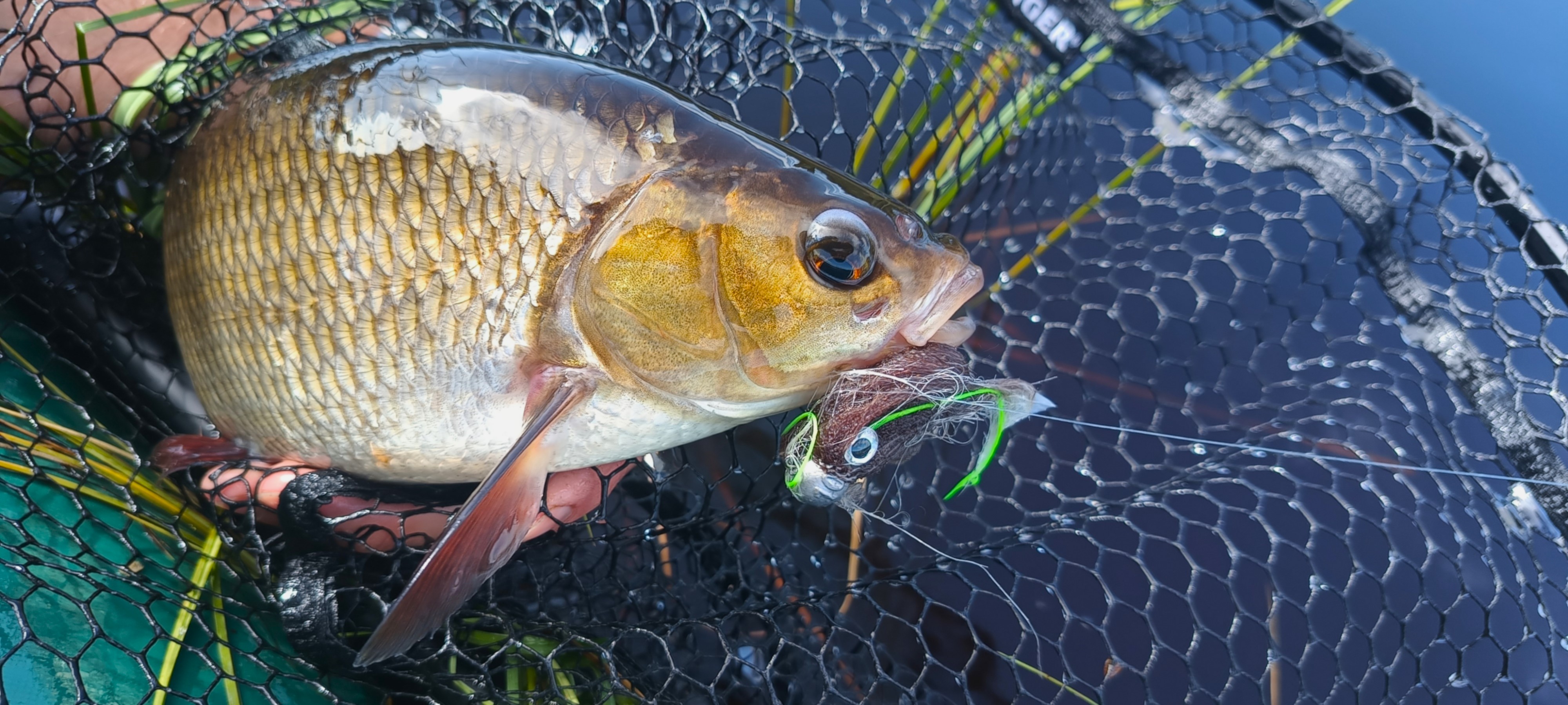 IMG_20250814_122245637