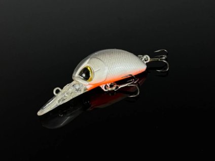 Deep bug 01