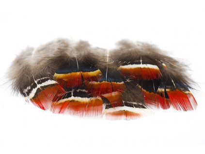 41276 perie troutline bazant lady amherst pheasant red hackle