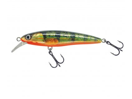 Vobler Mistrall Pintral Floater 5cm 3g