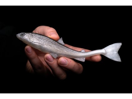 Guma Tomy´s Bait  White Fish 15.5cm 6" Ripper