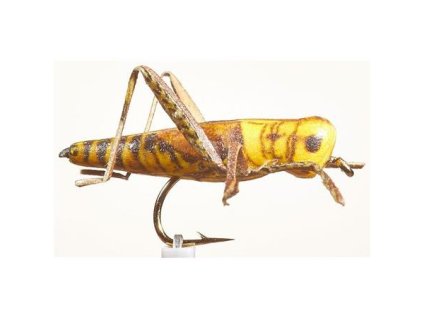 vyr 1845Lucny konik JMC