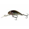 Savage Gear 3D Goby Crank 50 01 Goby