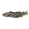 Savage Gear 4D Line Thru Pulse Tail Trout 1